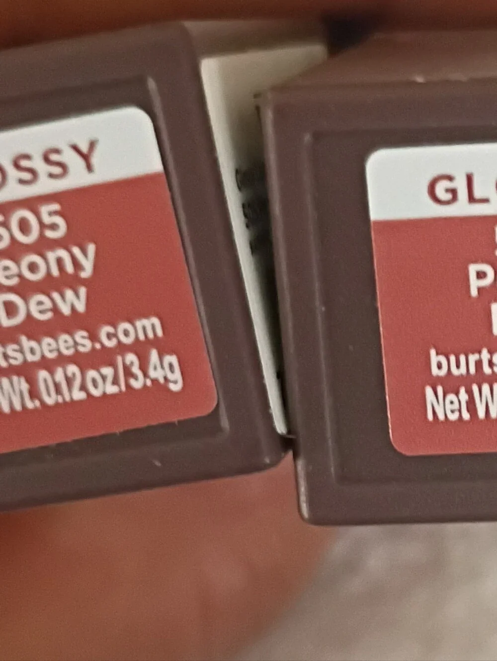 Burt's Bees Concealer/Glossy Lipstick